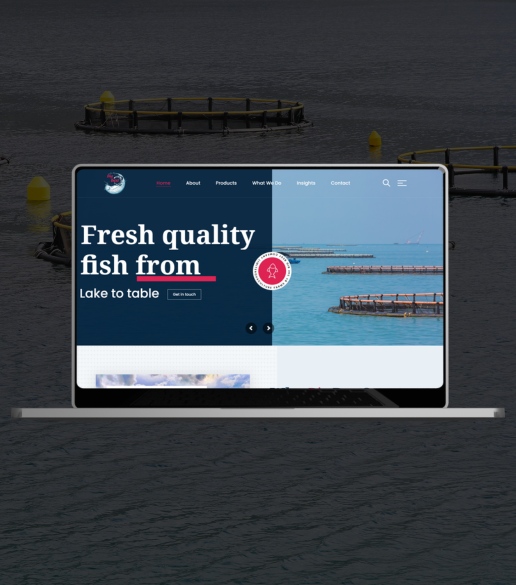 Data Lite website design for the Big Best Company shown on a laptop and tablet screens